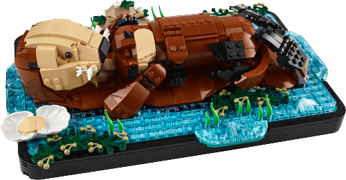 21366_Prod